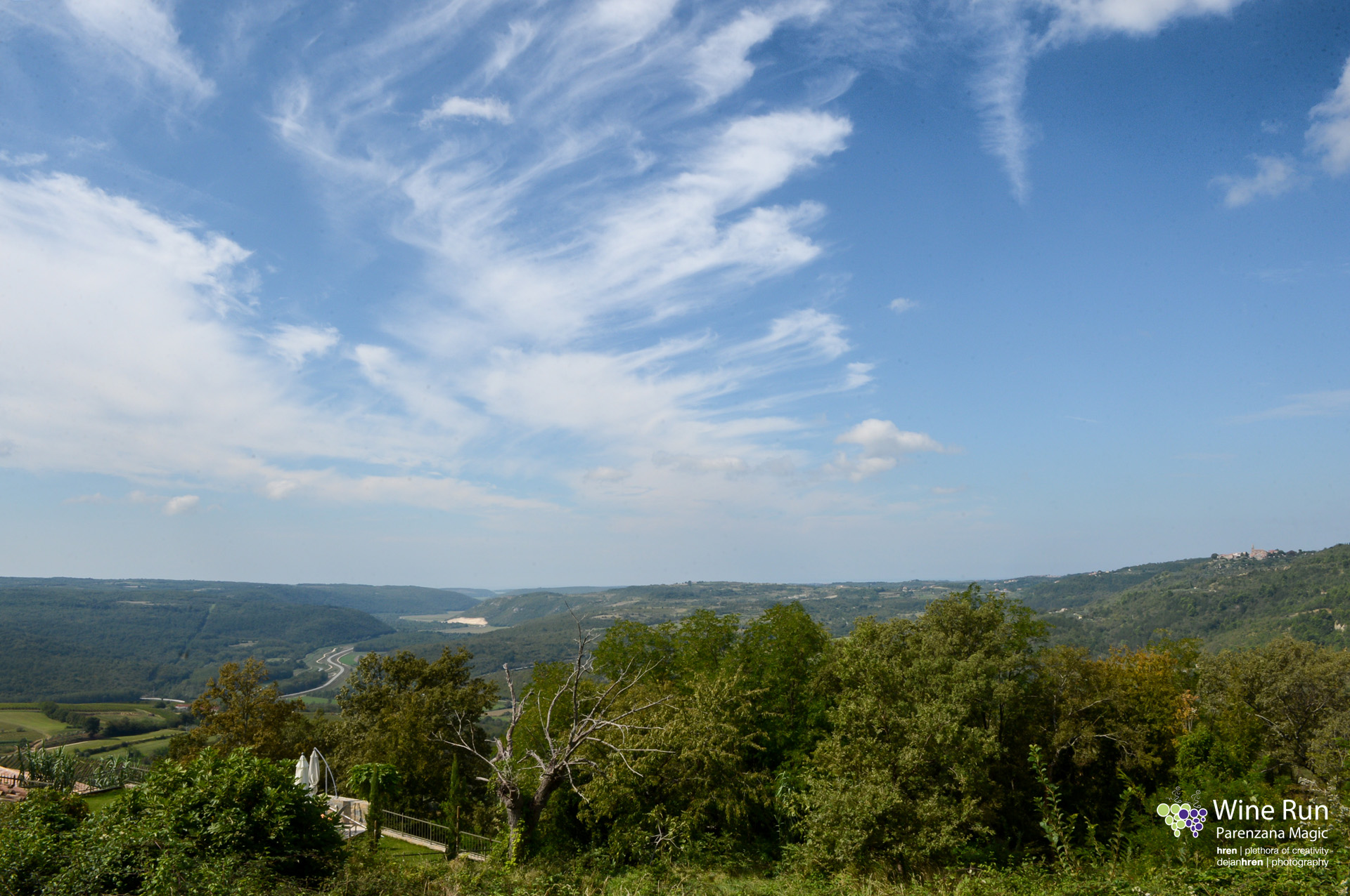 dejanhren-wine-run-2014-4364