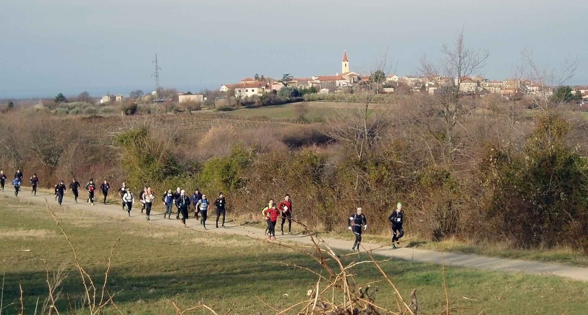 P1010010a