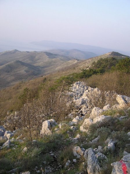 minip10100111.jpg