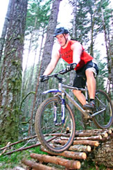 mountainbikes2.jpg